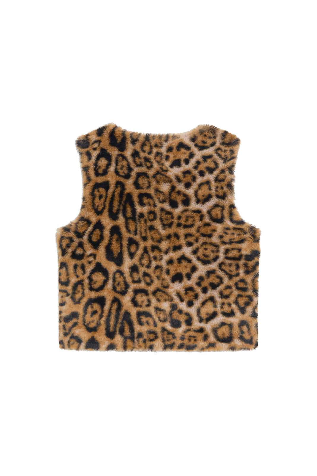 J3525-002 - Leo - Extra 2