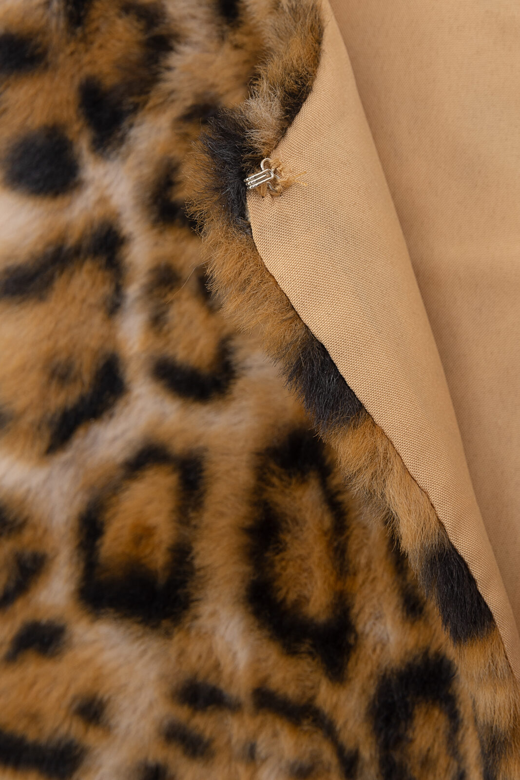 J3525-002 - Leo - Extra 3